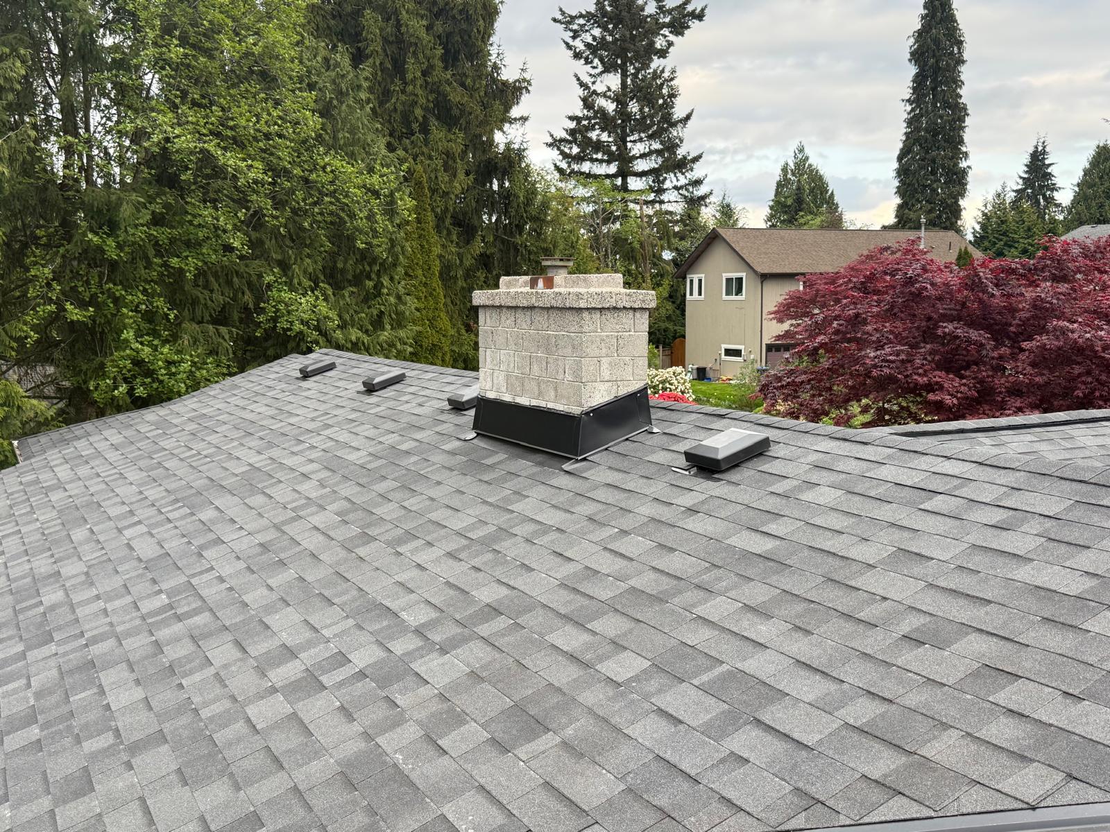 Affordable roof inspection in BC to prevent costly roof repairs.
